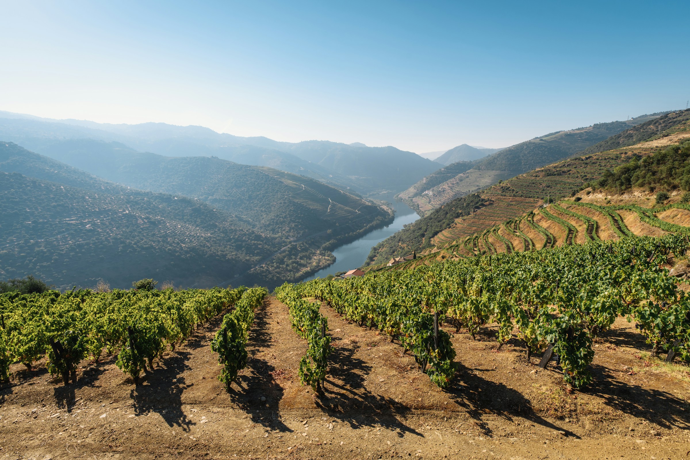 Vista sobre vinhas no rio Douro