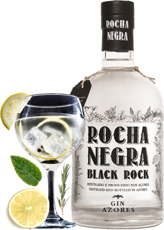 Garrafa Rocha Negra Gin com copo de gin a fatias de fruta e enfeitar