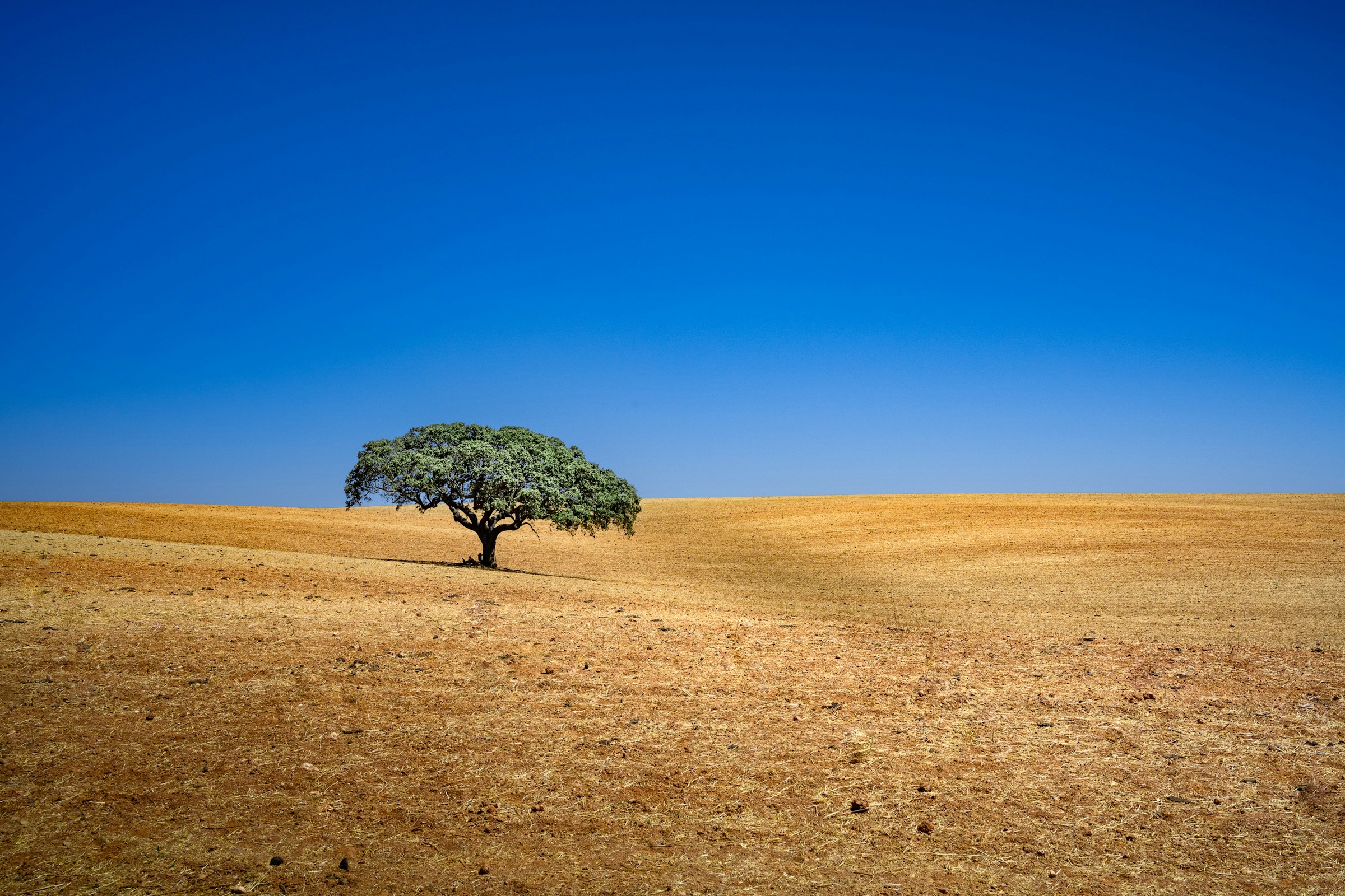 Paisagem do Alentejo