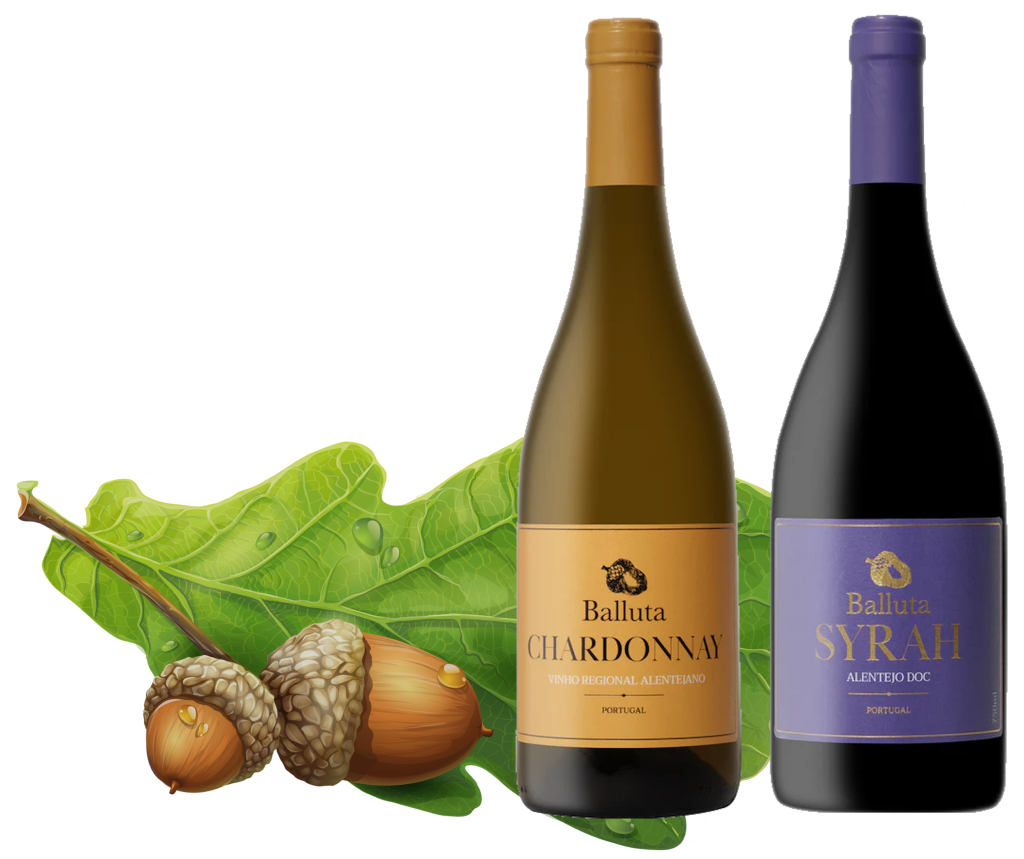 Duas garrafas de vinho, uma alaranjada/acastanhada à esquerda e outra roxa á direita. Por trás destas e à esquerda tem uma ilustração de um folha de carvalho e duas bolotas